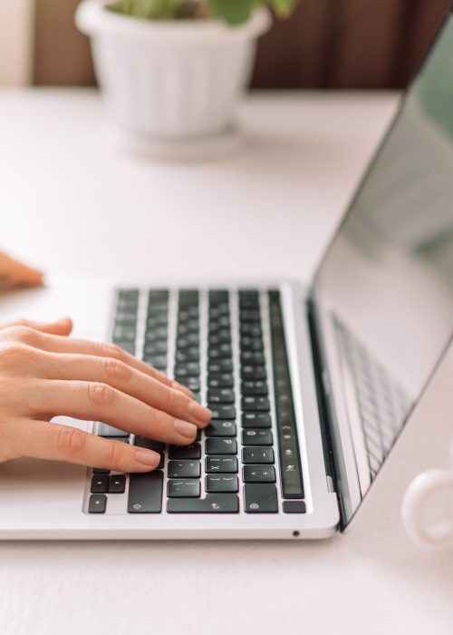 Lady typing on a laptop at the table